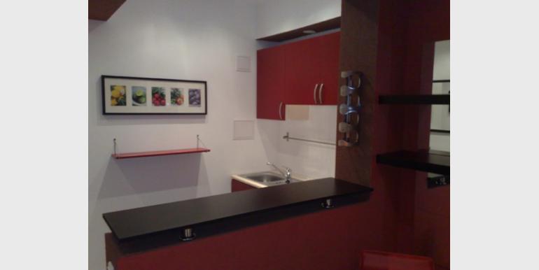 Garsoniera - Garsoniera BREZOIANU - Ion Brezoianu - Parc Cismigiu - Cazari-Bucuresti.ro