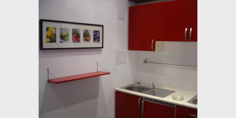 Garsoniera - Garsoniera BREZOIANU - Ion Brezoianu - Parc Cismigiu - Cazari-Bucuresti.ro